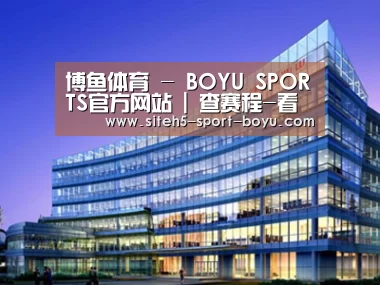 案例展示五
