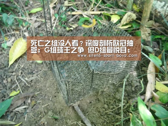 博鱼体育APP