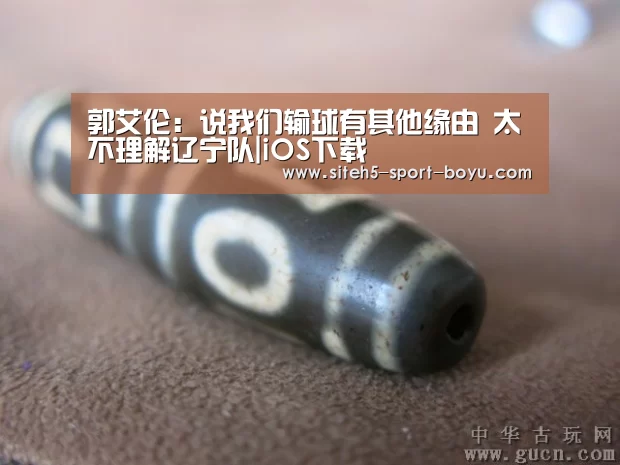 郭艾伦:说我们输球有其他缘由 太不理解辽宁队|iOS下载(图2) APP下载