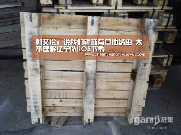郭艾伦:说我们输球有其他缘由 太不理解辽宁队|iOS下载(图4) 官方应用